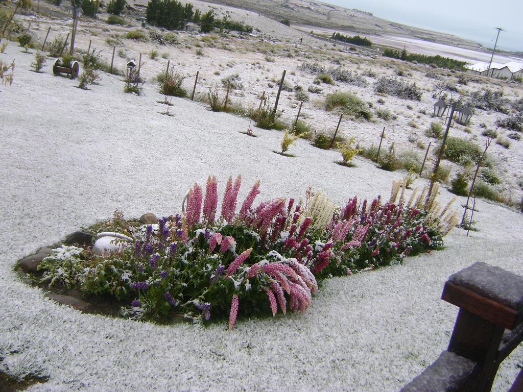 Cabanas Teuepen El Calafate Eksteriør billede